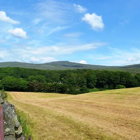 Shepherds Corney